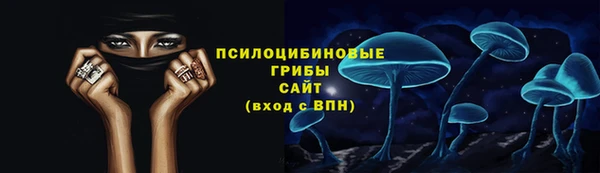 спайс Дмитров