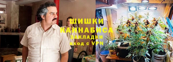 apvp Дмитриев