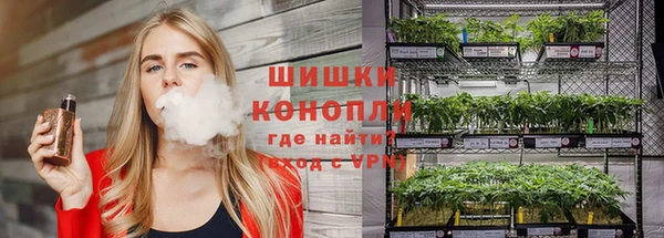 apvp Дмитриев